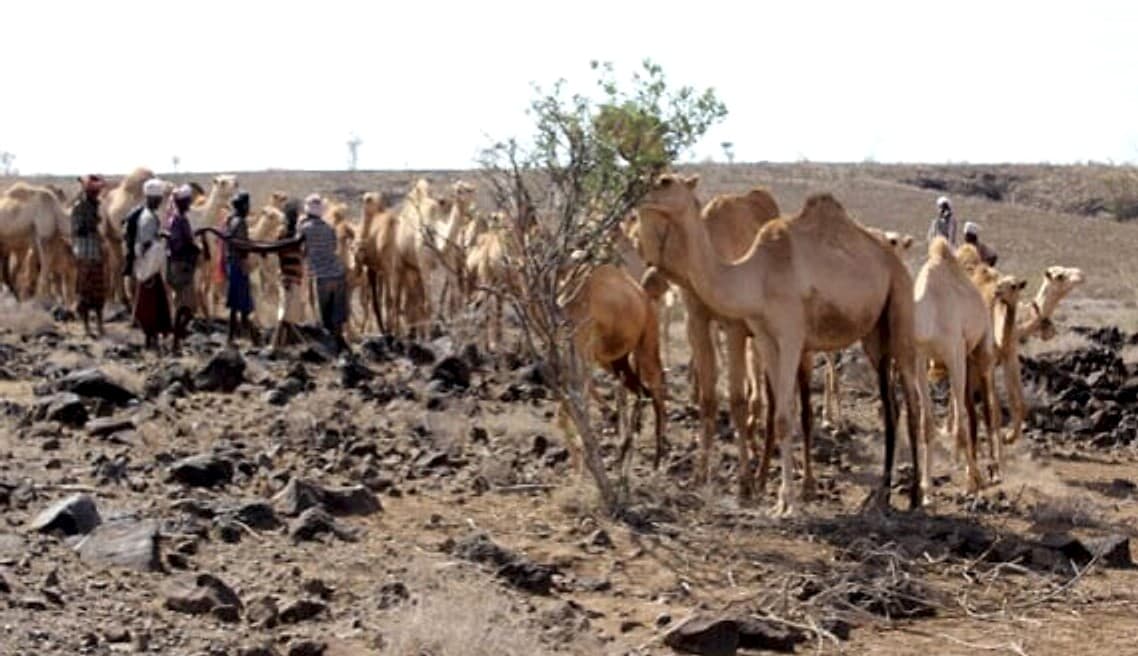 Marsabit County Drought Emergency Response Project